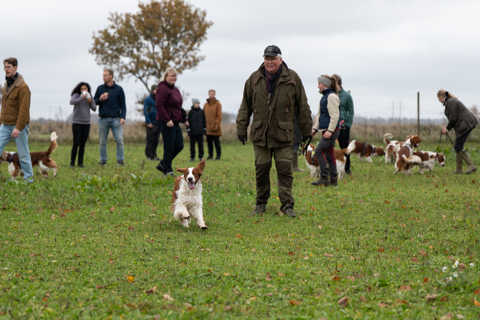 Kennel Wallova - Kennelträff 2025