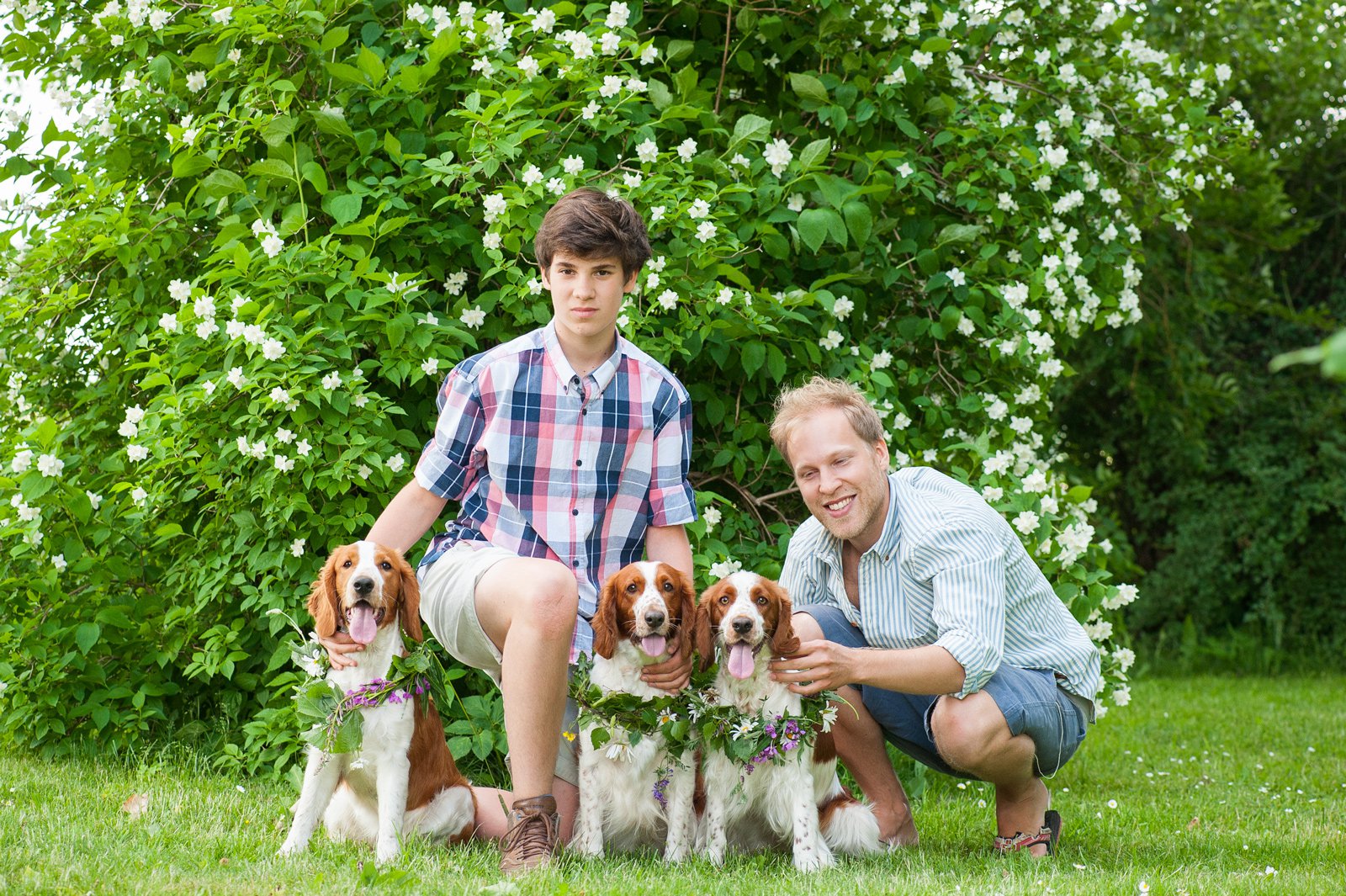 Midsommar 2013