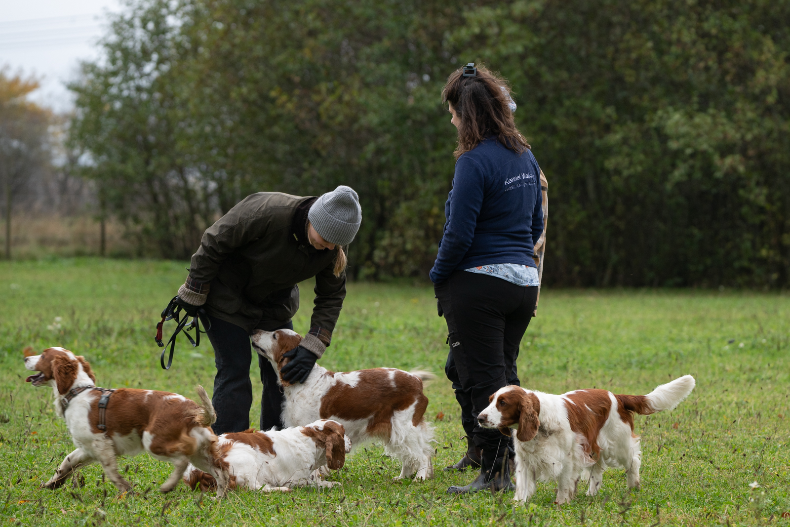 Kennel Wallova - Kennelträff 2025