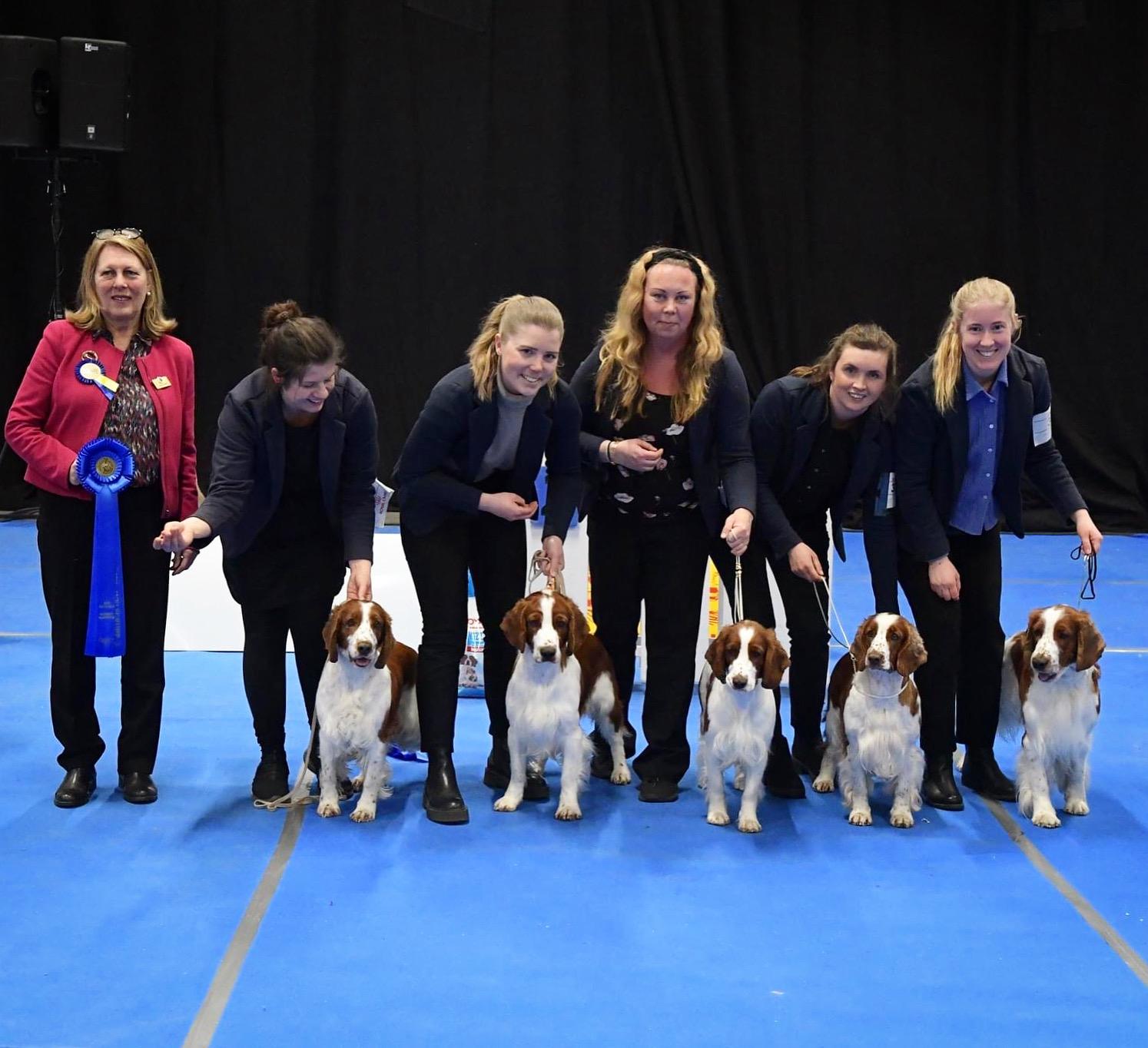 Team Wallova Malmö Internantionella 2023 BIS-2 avelsgrupp