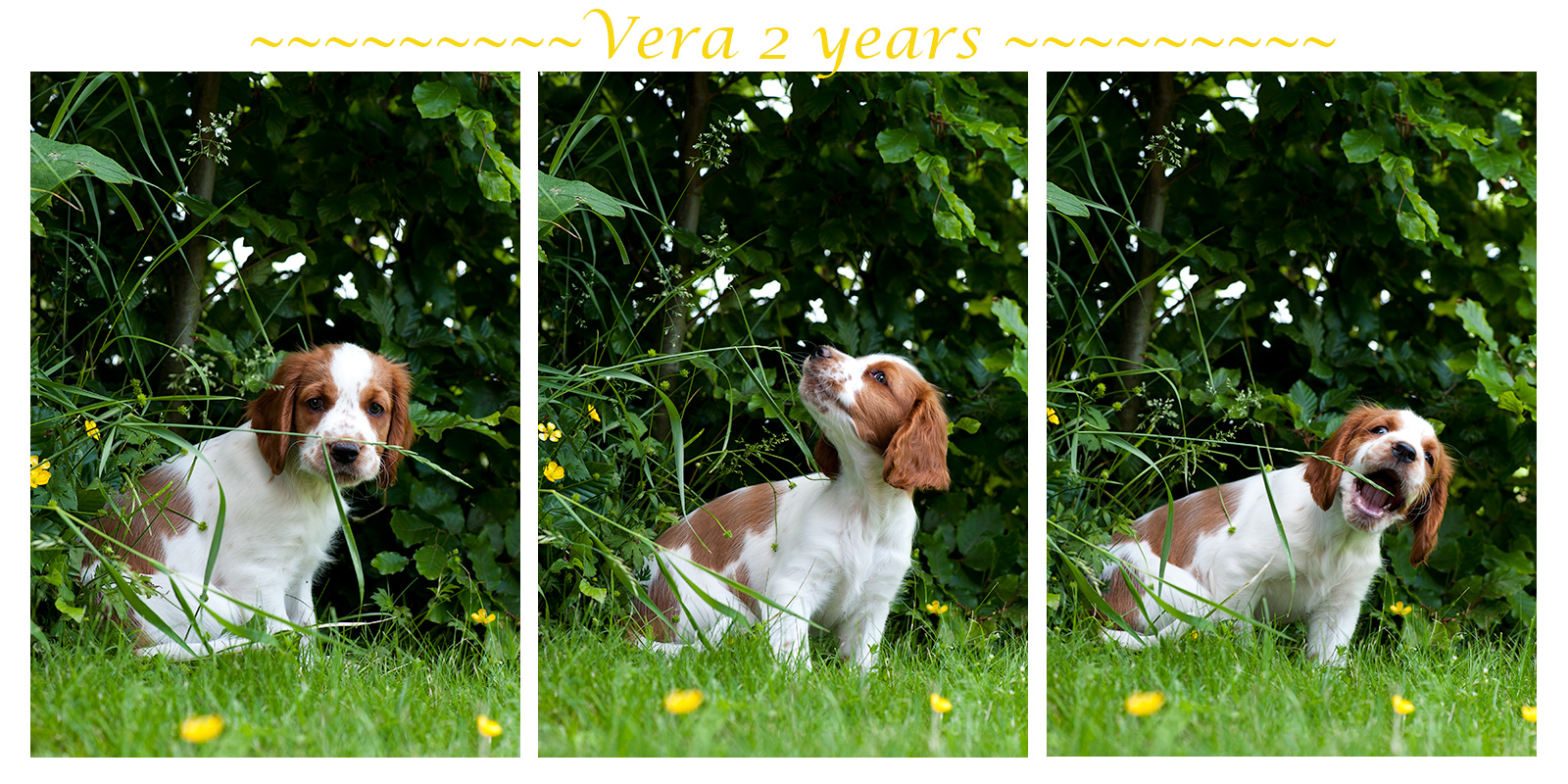 Vera 2 år